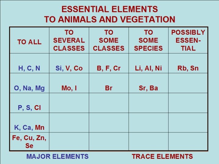 ESSENTIAL ELEMENTS TO ANIMALS AND VEGETATION TO ALL TO TO SEVERAL SOME CLASSES TO