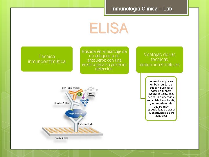 Inmunología Clínica – Lab. ELISA Técnica inmunoenzimática Basada en el marcaje de un antígeno