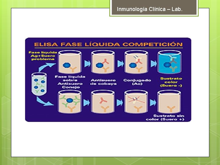 Inmunología Clínica – Lab. 