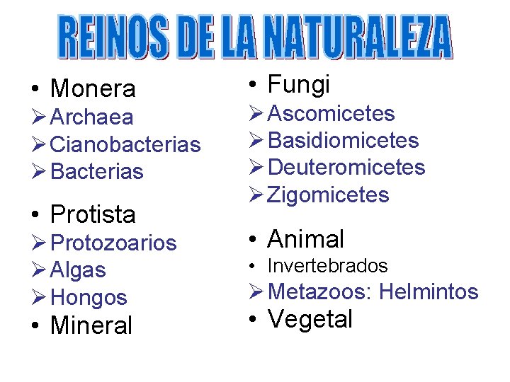  • Monera Ø Archaea Ø Cianobacterias Ø Bacterias • Protista Ø Protozoarios Ø