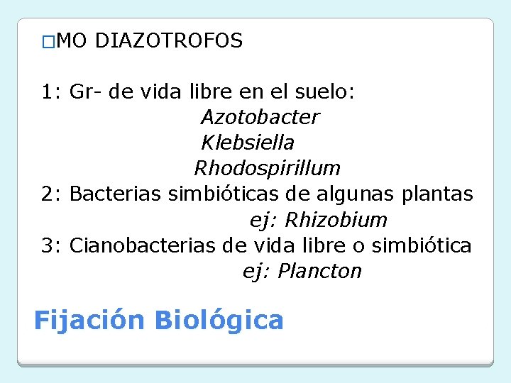 �MO DIAZOTROFOS 1: Gr- de vida libre en el suelo: Azotobacter Klebsiella Rhodospirillum 2:
