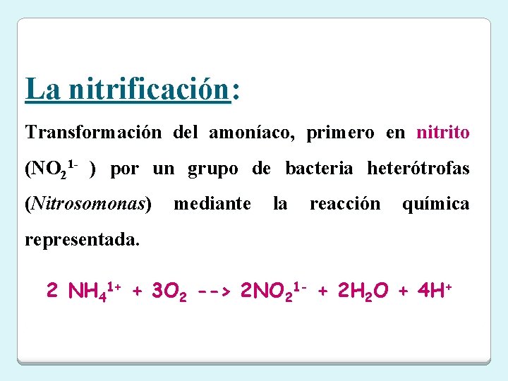 La nitrificación: Transformación del amoníaco, primero en nitrito (NO 21 - ) por un