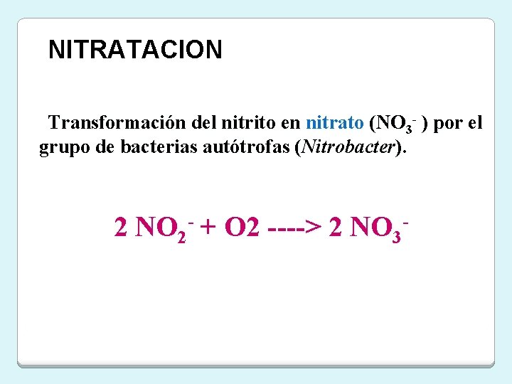 NITRATACION Transformación del nitrito en nitrato (NO 3 - ) por el grupo de NITRATACION Transformación del nitrito en nitrato (NO 3 - ) por el grupo de
