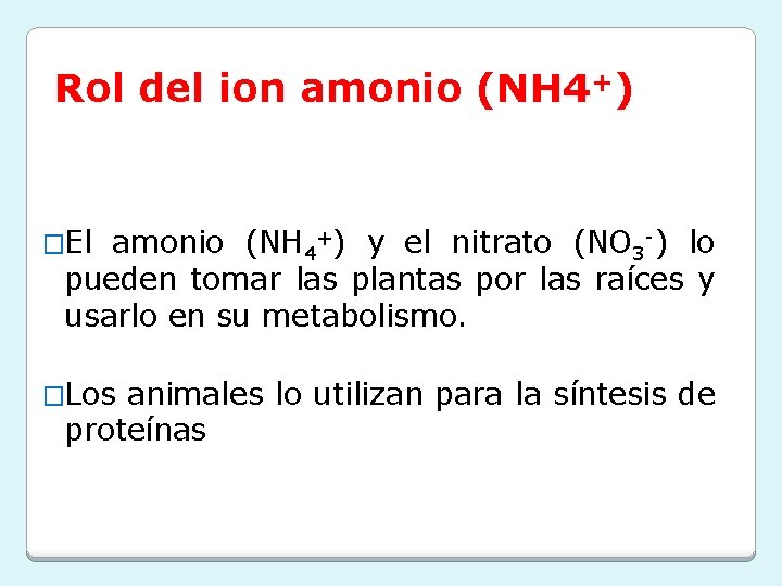 Rol del ion amonio (NH 4+) �El amonio (NH 4+) y el nitrato (NO