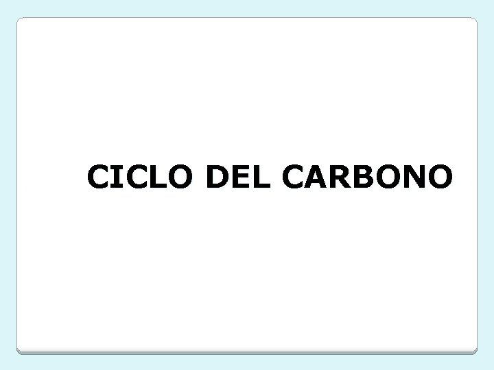 CICLO DEL CARBONO CICLO DEL CARBONO