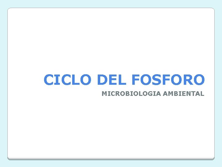 CICLO DEL FOSFORO MICROBIOLOGIA AMBIENTAL 