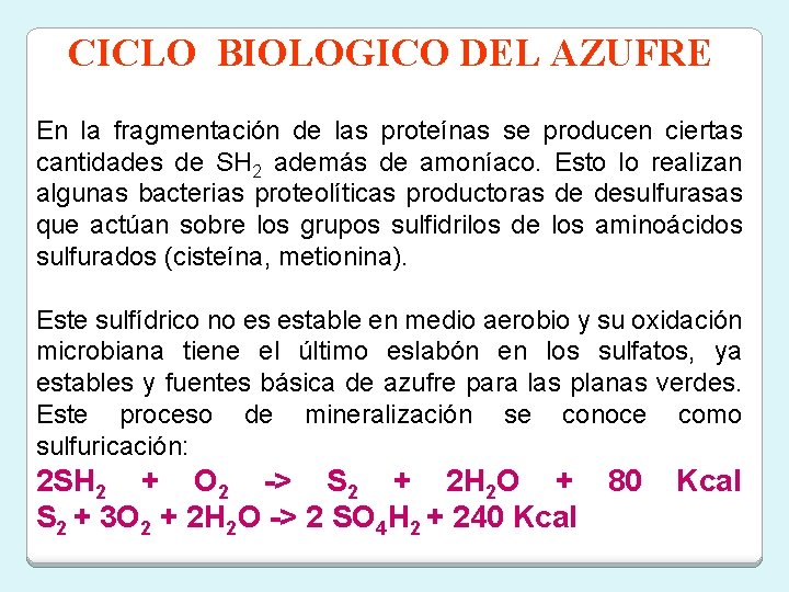 CICLO BIOLOGICO DEL AZUFRE En la fragmentación de las proteínas se producen ciertas cantidades