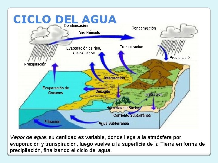 CICLO DEL AGUA Vapor de agua: su cantidad es variable, donde llega a la CICLO DEL AGUA Vapor de agua: su cantidad es variable, donde llega a la