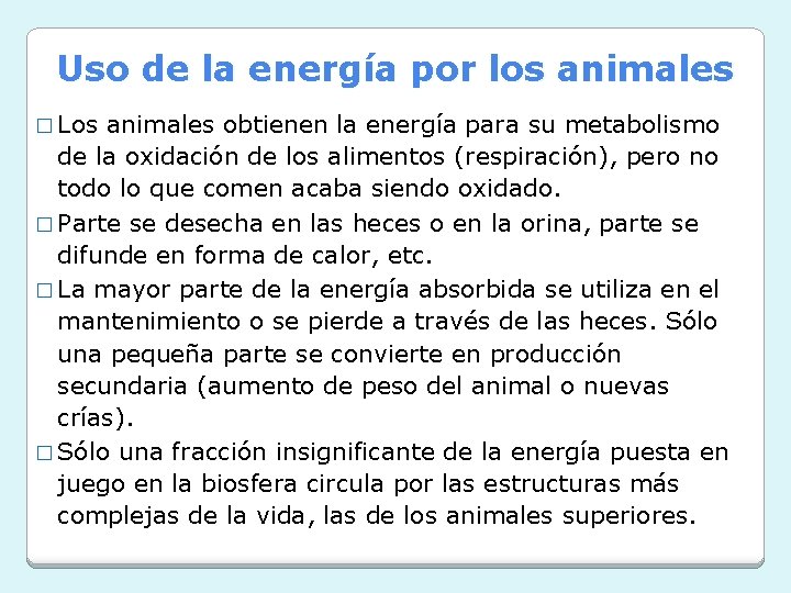 Uso de la energía por los animales � Los animales obtienen la energía para