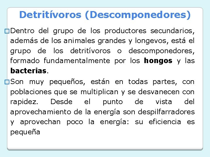 Detritívoros (Descomponedores) � Dentro del grupo de los productores secundarios, además de los animales Detritívoros (Descomponedores) � Dentro del grupo de los productores secundarios, además de los animales