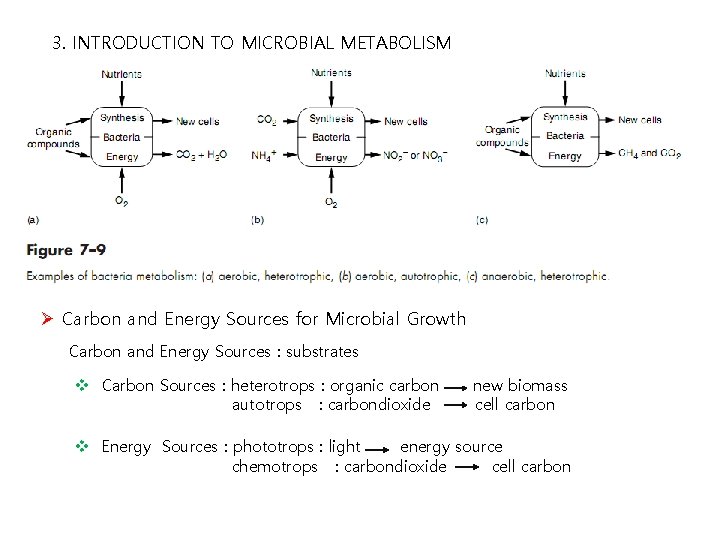 3. INTRODUCTION TO MICROBIAL METABOLISM Ø Carbon and Energy Sources for Microbial Growth Carbon