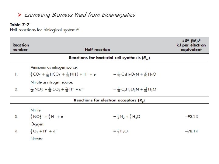 Ø Estimating Biomass Yield from Bioenergetics 