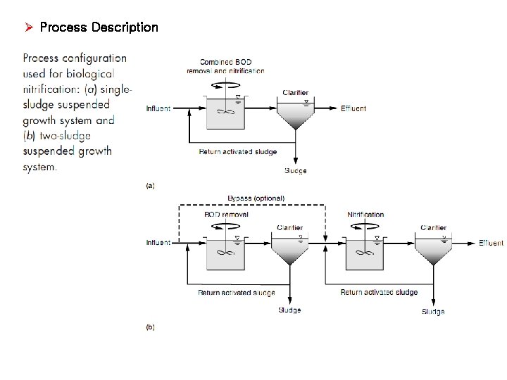 Ø Process Description 