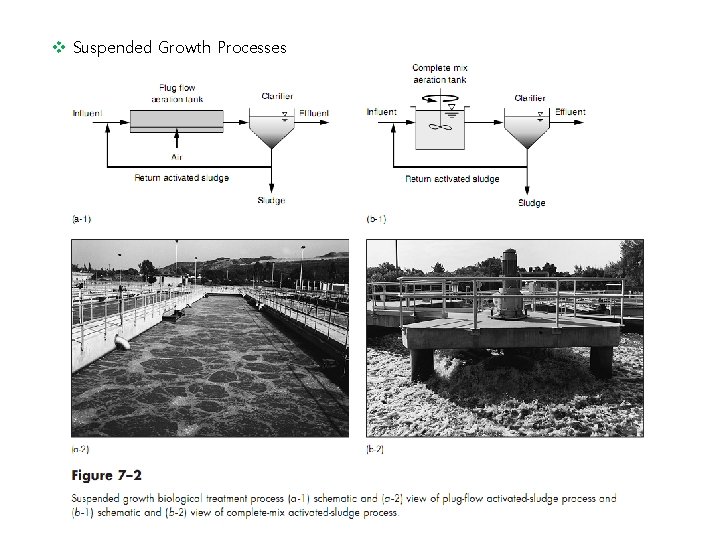 v Suspended Growth Processes 