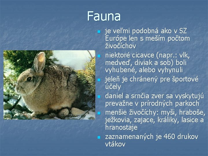 Fauna n n n je veľmi podobná ako v SZ Európe len s meším Fauna n n n je veľmi podobná ako v SZ Európe len s meším