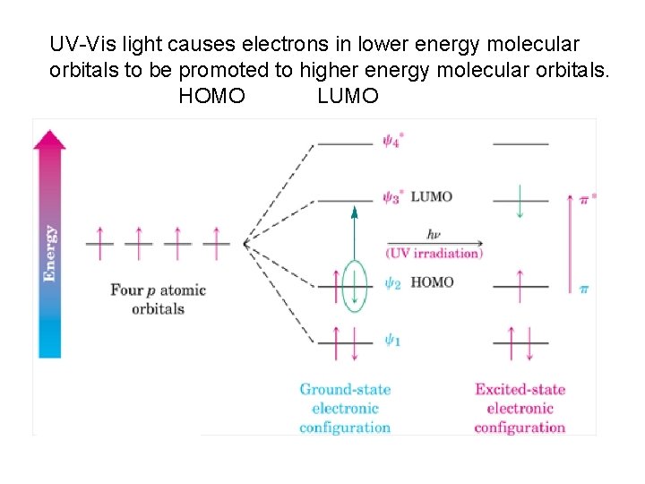 UV-Vis light causes electrons in lower energy molecular orbitals to be promoted to higher