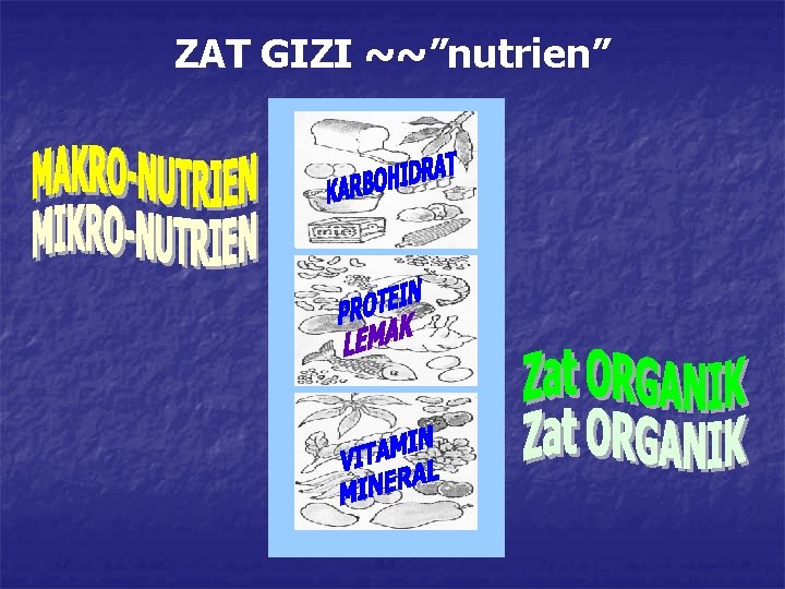 ZAT GIZI ~~”nutrien” 