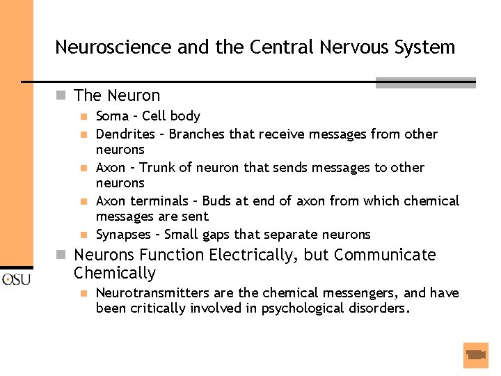 Neuroscience and the Central Nervous System n The Neuron n n Soma – Cell