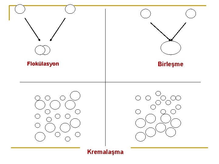 Flokülasyon Birleşme Kremalaşma 