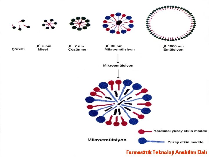 Farmasötik Teknoloji Anabilim Dalı 