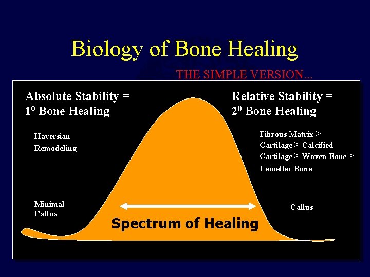 Biology of Bone Healing THE SIMPLE VERSION. . . Absolute Stability = 10 Bone