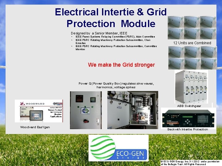STRATEGIC ACTIONS PLAN Electrical Intertie & Grid Protection Module Designed by a Senior Member,