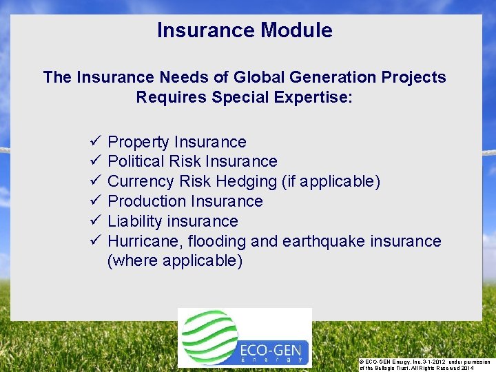 Insurance Module The Insurance Needs of Global Generation Projects Requires Special Expertise: ü ü