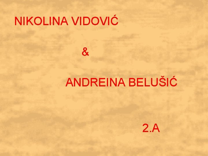 NIKOLINA VIDOVIĆ & ANDREINA BELUŠIĆ 2. A 