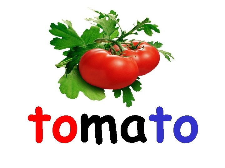 tomato 