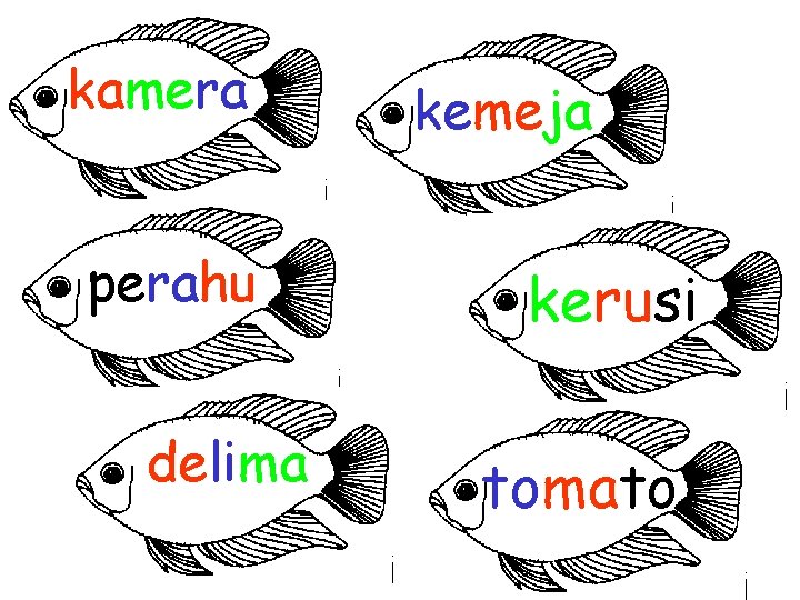 kamera perahu delima kemeja kerusi tomato 