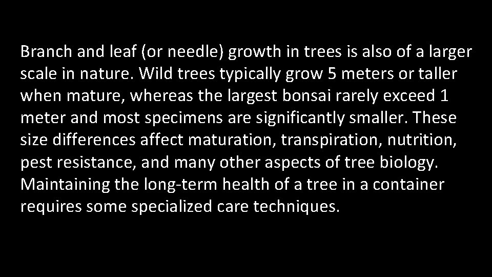 Branch and leaf (or needle) growth in trees is also of a larger scale