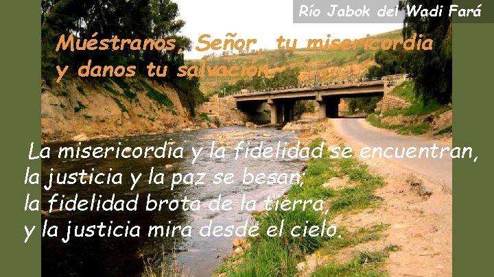 Río Jabok del Wadi Fará Muéstranos, Señor, tu misericordia y danos tu salvación. La