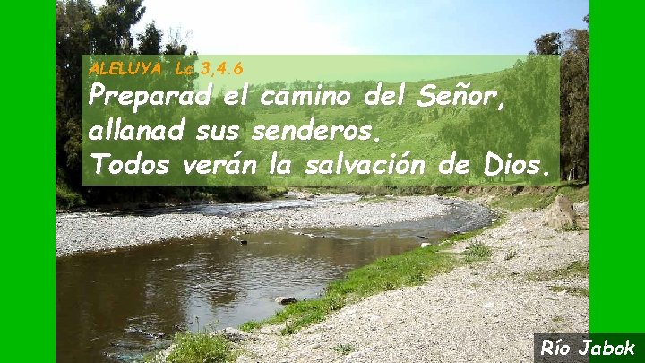 ALELUYA Lc 3, 4. 6 Preparad el camino del Señor, allanad sus senderos. Todos