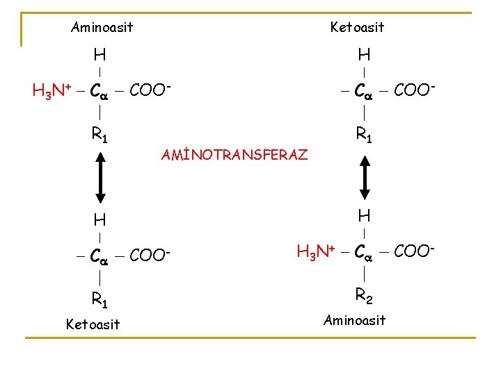 Aminoasit Ketoasit H H 3 N + C R 1 H COO- C R