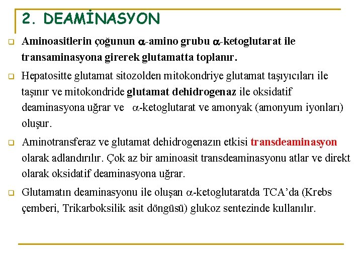 2. DEAMİNASYON q Aminoasitlerin çoğunun -amino grubu -ketoglutarat ile transaminasyona girerek glutamatta toplanır. q