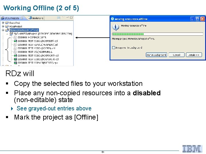 Working Offline (2 of 5) RDz will § Copy the selected files to your