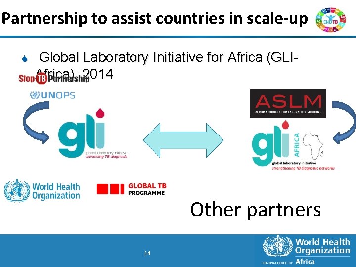 Partnership to assist countries in scale-up S Global Laboratory Initiative for Africa (GLIAfrica), 2014