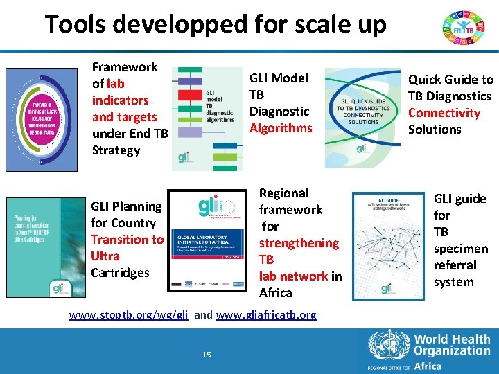 Tools developped for scale up Framework of lab indicators and targets under End TB
