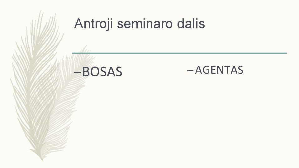 Antroji seminaro dalis – BOSAS – AGENTAS 