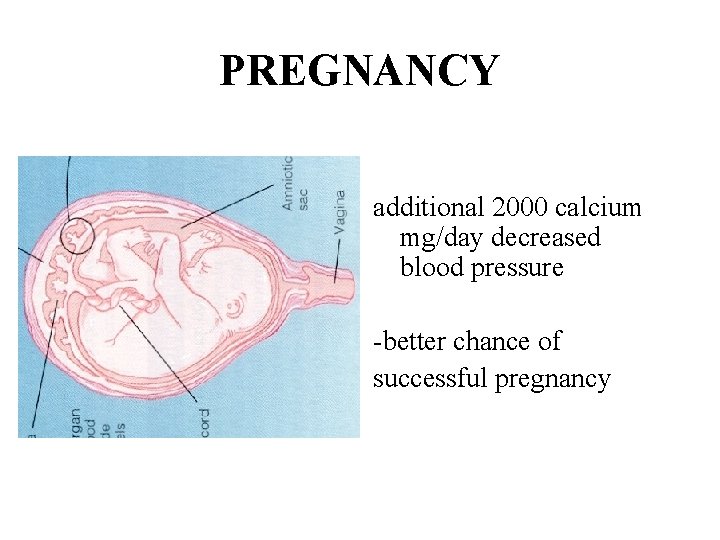 PREGNANCY additional 2000 calcium mg/day decreased blood pressure -better chance of successful pregnancy 