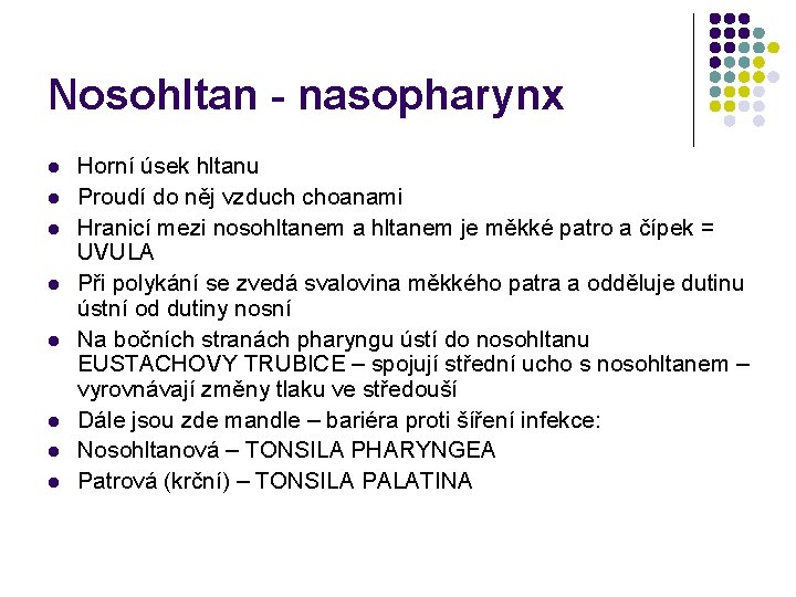 Nosohltan - nasopharynx l l l l Horní úsek hltanu Proudí do něj vzduch