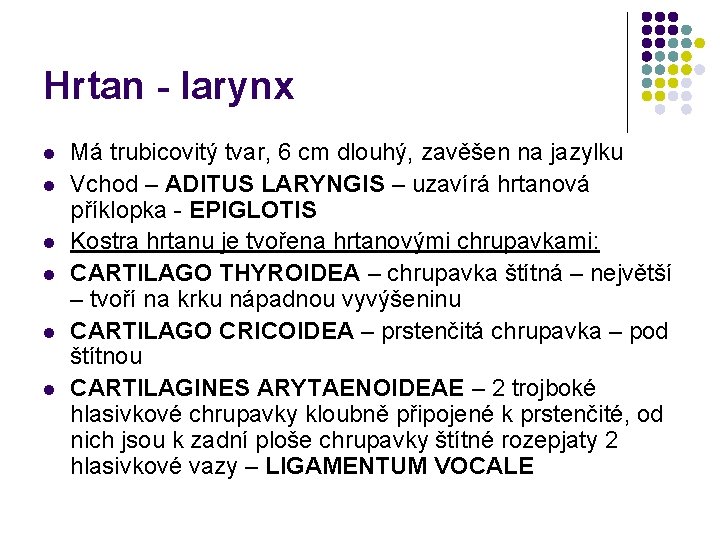 Hrtan - larynx l l l Má trubicovitý tvar, 6 cm dlouhý, zavěšen na