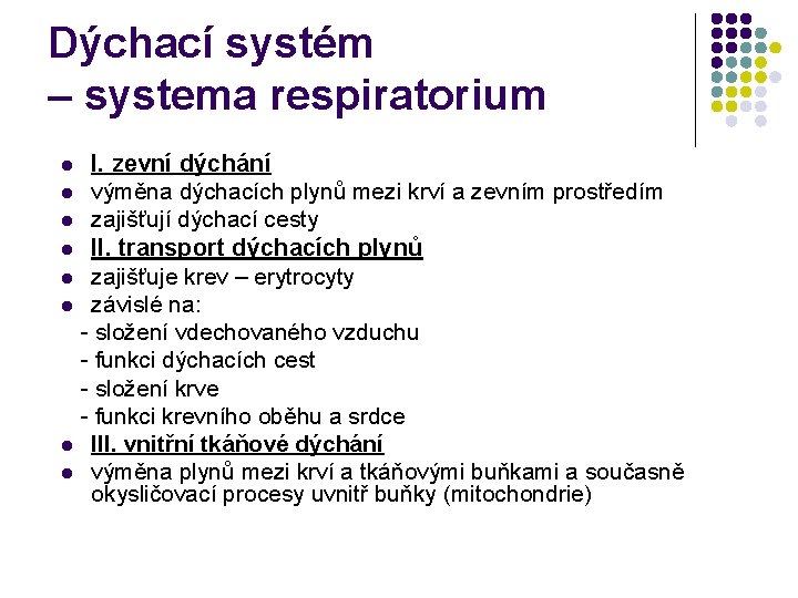 Dýchací systém – systema respiratorium I. zevní dýchání l výměna dýchacích plynů mezi krví