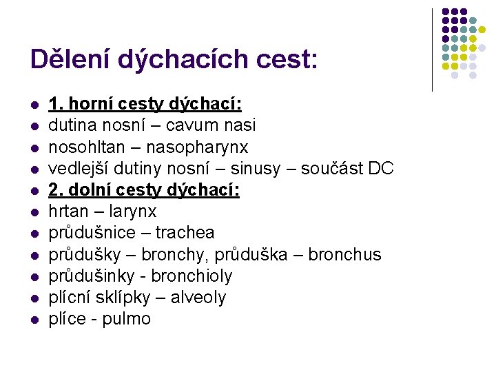 Dělení dýchacích cest: l l l 1. horní cesty dýchací: dutina nosní – cavum