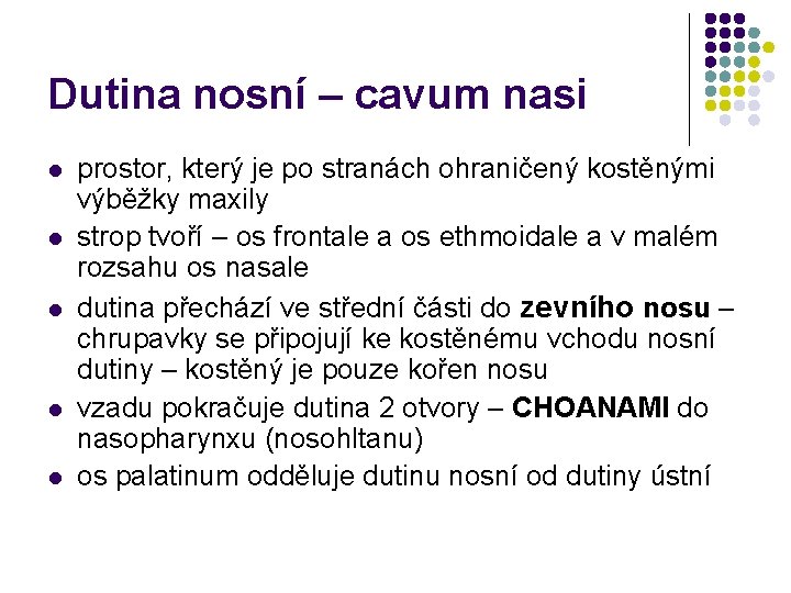 Dutina nosní – cavum nasi l l l prostor, který je po stranách ohraničený