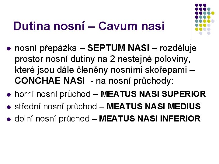 Dutina nosní – Cavum nasi l l nosní přepážka – SEPTUM NASI – rozděluje