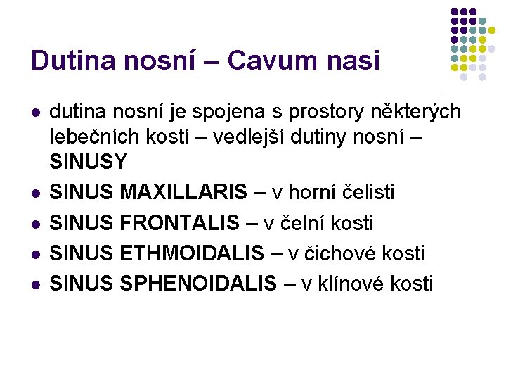 Dutina nosní – Cavum nasi l l l dutina nosní je spojena s prostory