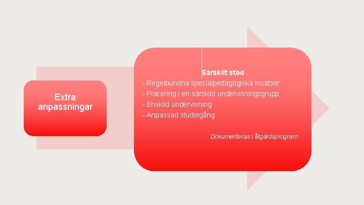 Extra anpassningar Särskilt stöd - Regelbundna specialpedagogiska insatser - Placering i en särskild undervisningsgrupp