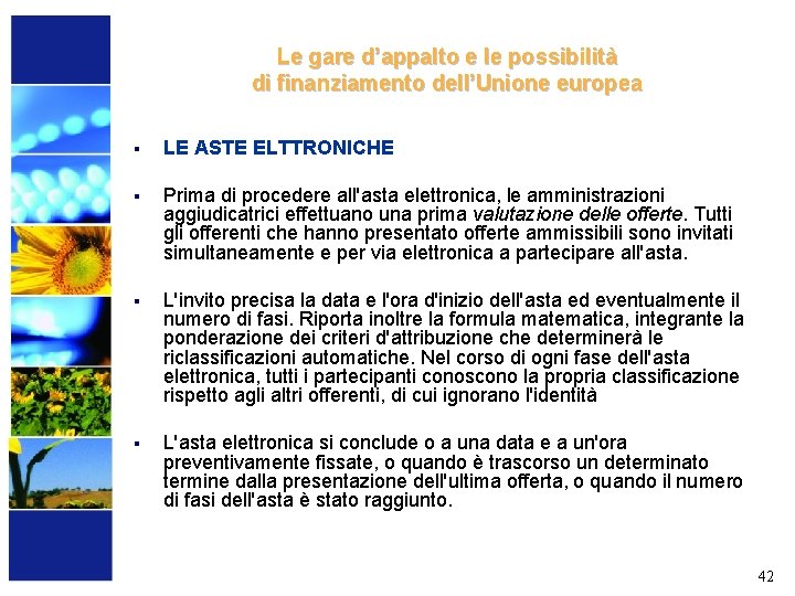 Le gare d’appalto e le possibilità di finanziamento dell’Unione europea § LE ASTE ELTTRONICHE