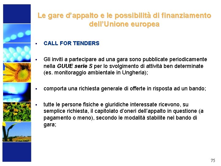 Le gare d’appalto e le possibilità di finanziamento dell’Unione europea § CALL FOR TENDERS